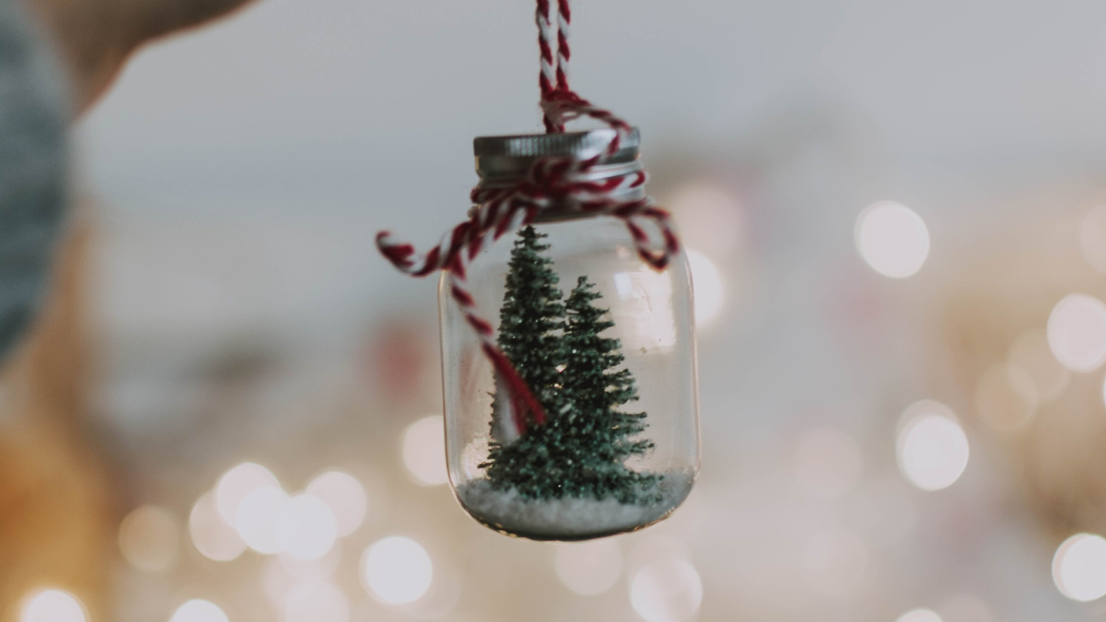 Leaving the Christmas Tree Up Third Space