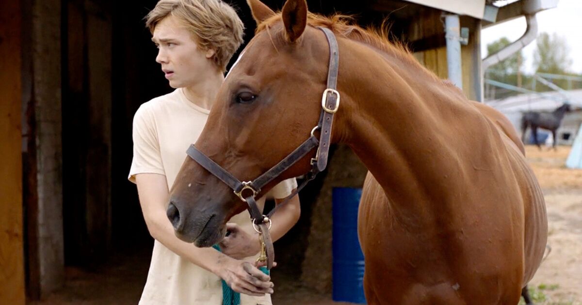 Lean on Pete | Third Space